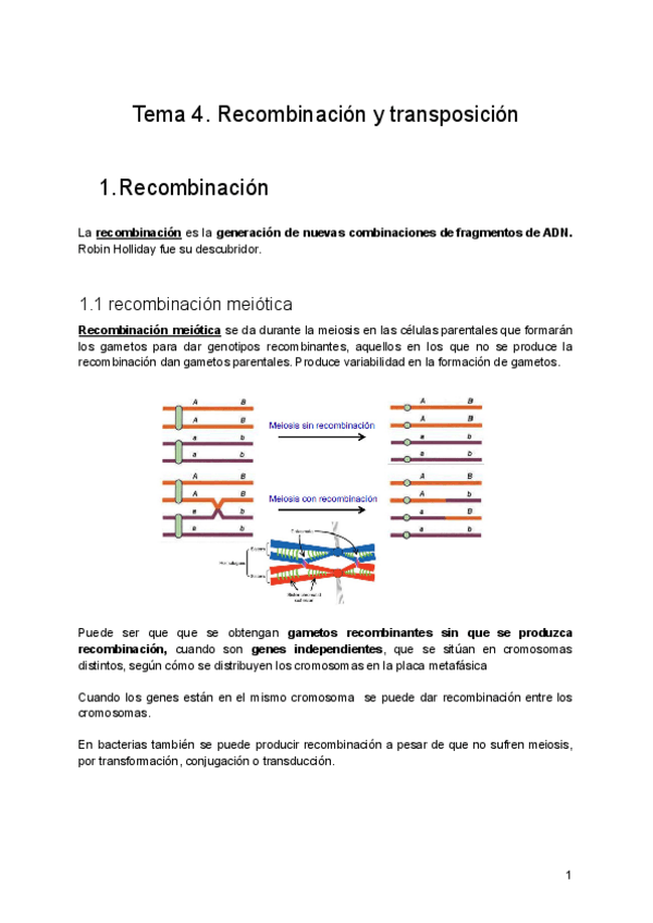 Miniatura del documento Tema-4.pdf