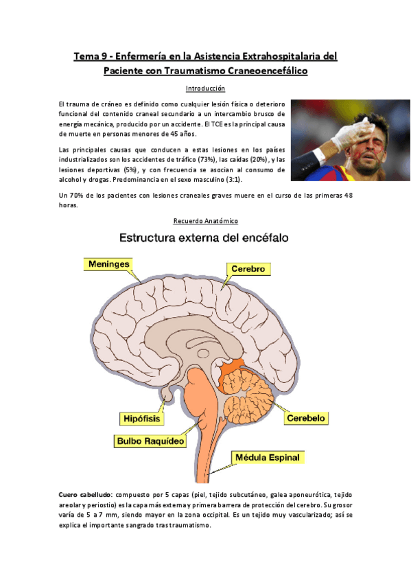 Miniatura del documento Tema-9-Enfermeria-en-la-Atencion-al-TCE.pdf