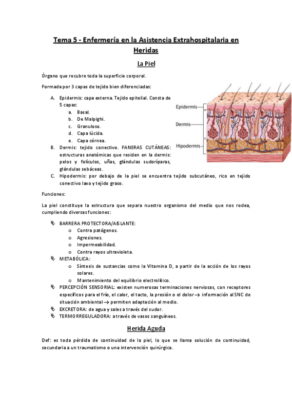 Miniatura del documento Tema-5-Enfermeria-en-la-Asistencia-Extrahospitalaria-en-Heridas.pdf