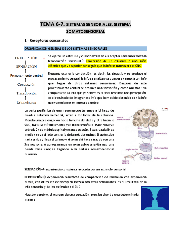 Miniatura del documento TEMA-6-7-Sistemas-sensoriales.pdf