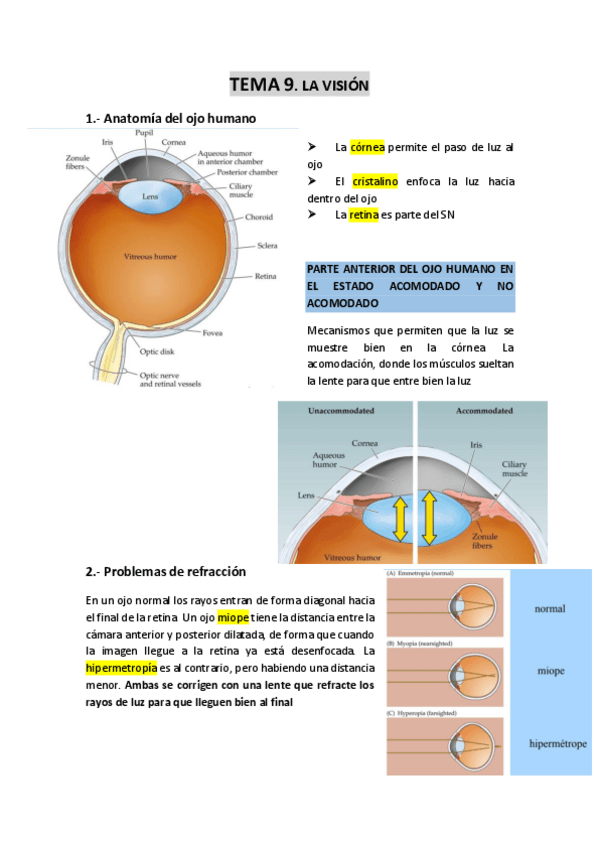 Miniatura del documento TEMA-9-La-vision.pdf