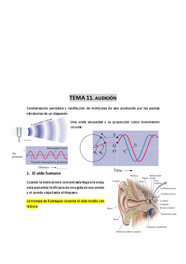 Miniatura del documento TEMA-11-Audicion.pdf