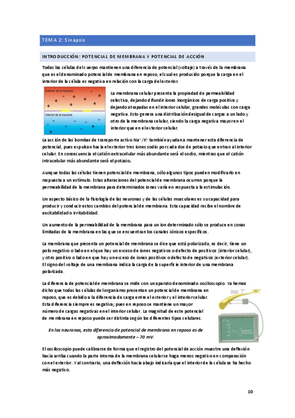 Miniatura del documento TEMA-2-FISIOLOGIA.pdf