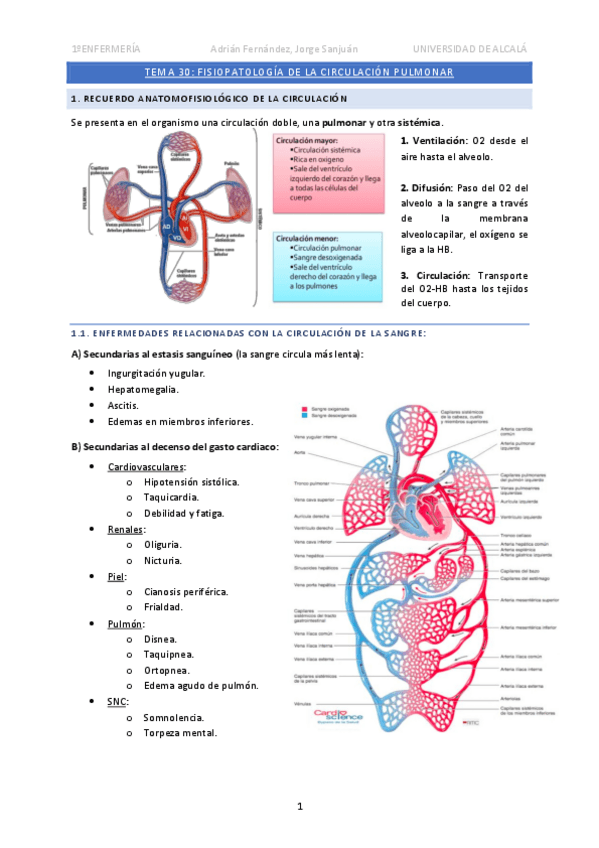 Miniatura del documento Tema-30-Circulacion-pulmonar.pdf