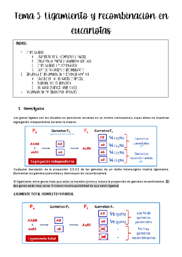 Miniatura del documento tema-5-genetica.pdf