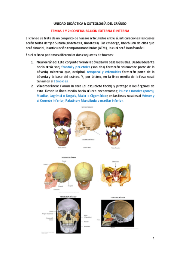 Miniatura del documento 1o-parcial-anatomia.pdf