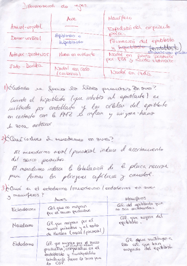 Miniatura del documento Posibles preguntas.PDF
