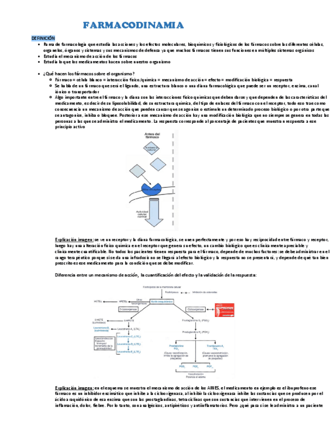 Miniatura del documento 1.pdf