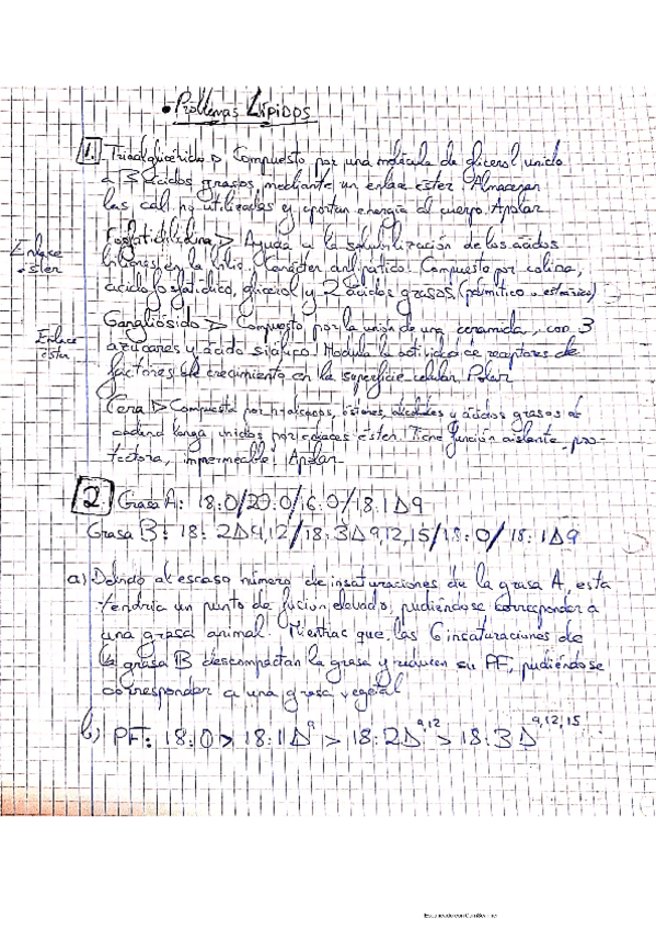 Miniatura del documento Tarea-Lipidos.pdf