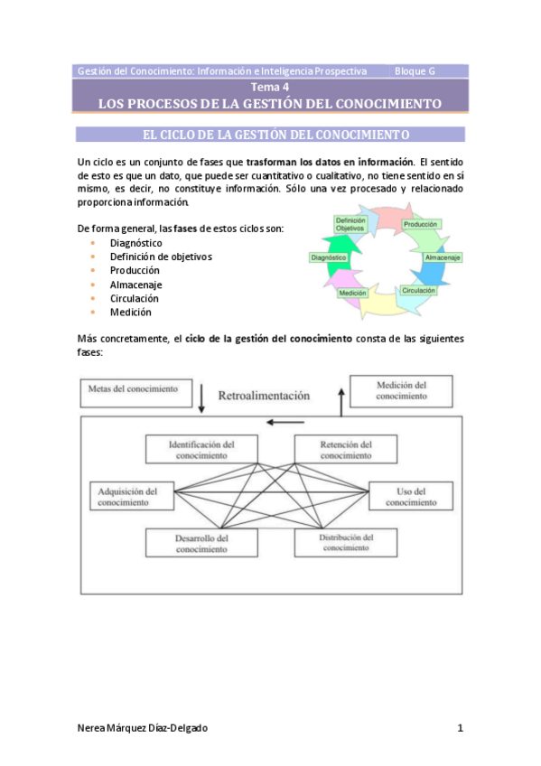 Miniatura del documento Tema-4-Los-procesos-de-la-gestion-del-conocimiento.pdf
