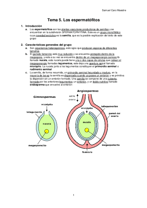 Miniatura del documento E.pdf