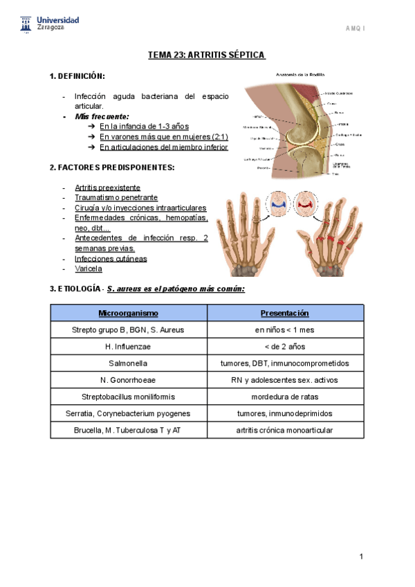 Miniatura del documento T.pdf