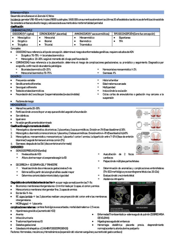 Miniatura del documento Embarazo-multiple.pdf