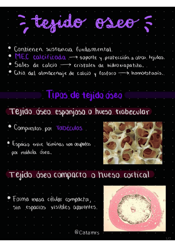 Miniatura del documento Tejido-Oseo-Histologia.pdf