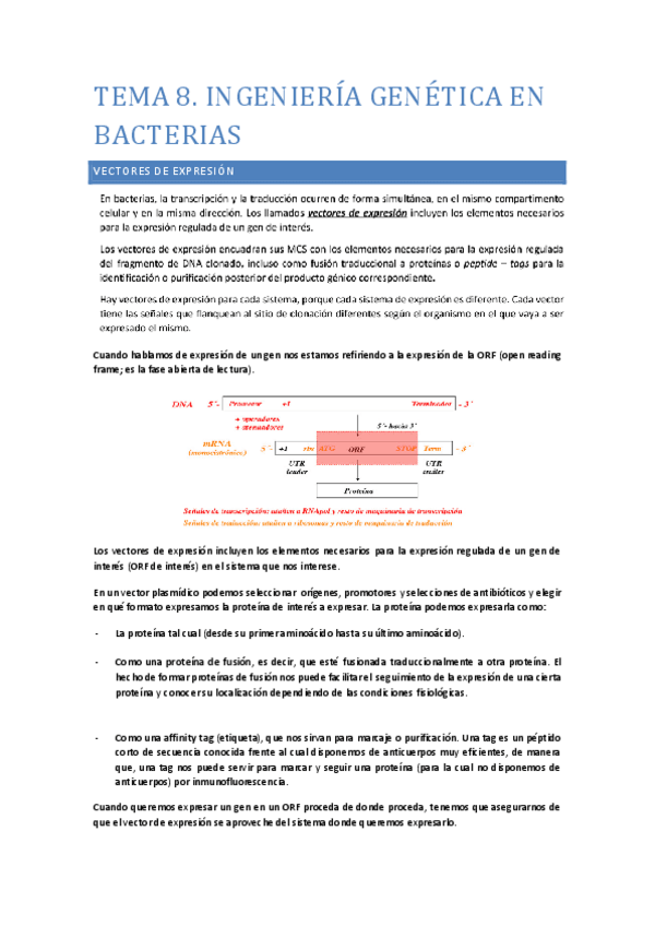Miniatura del documento TEMA-8.pdf