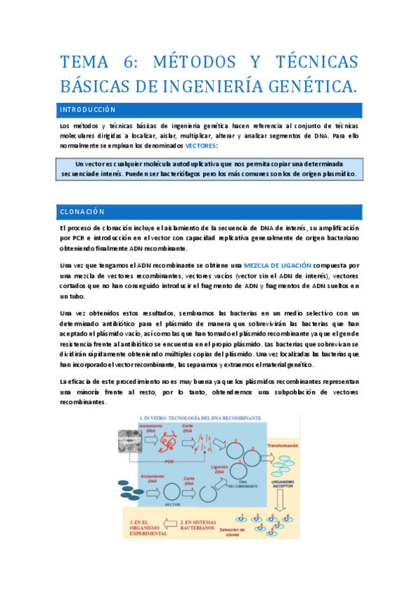 Miniatura del documento TEMA-6.pdf