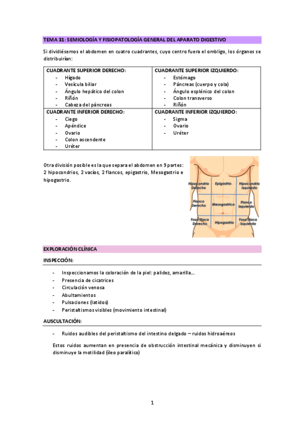 Miniatura del documento LB-MEDICA-APARATO-DIGESTIVO.pdf