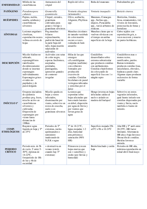 Miniatura del documento Diagnosticos-PCmerged-1.pdf