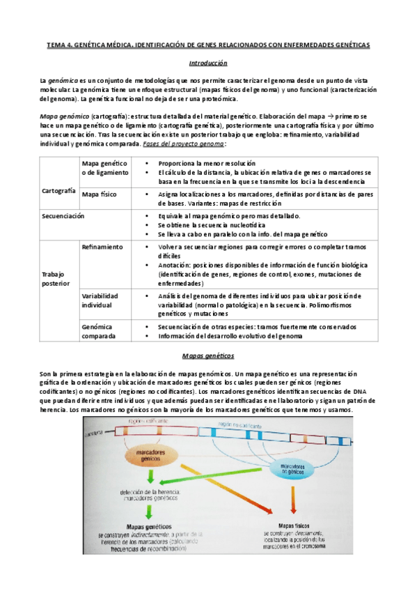 Miniatura del documento Tema-4-genetica-medica.pdf