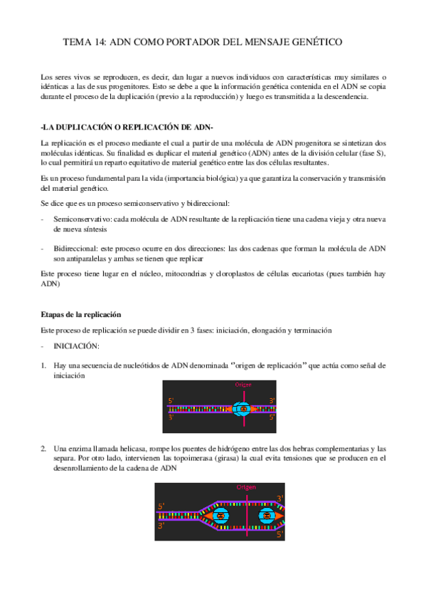 Miniatura del documento TEMA-14-GENETICA-MOLECULAR.pdf