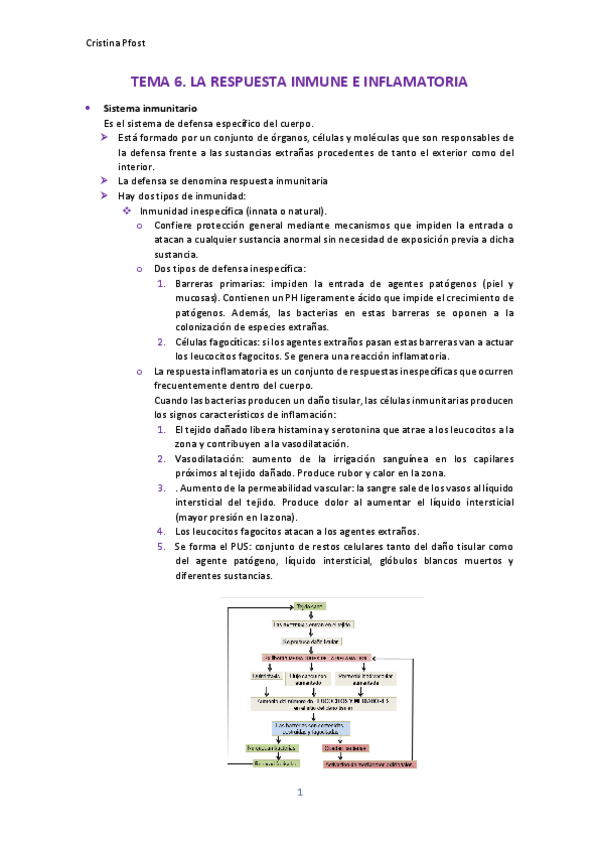 Miniatura del documento TEMA-6.pdf