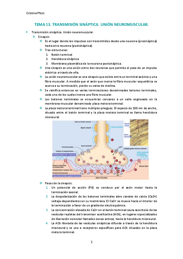 Miniatura del documento TEMA-13-final.pdf
