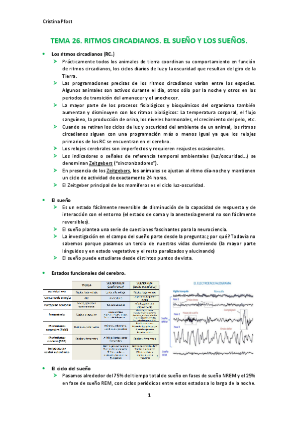 Miniatura del documento TEMA-26.pdf