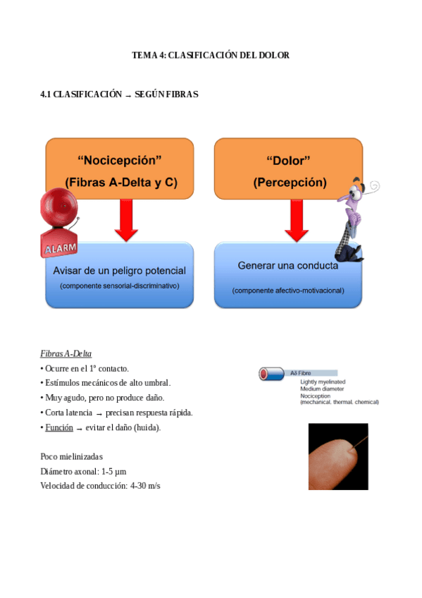 Miniatura del documento TEMA-4.pdf