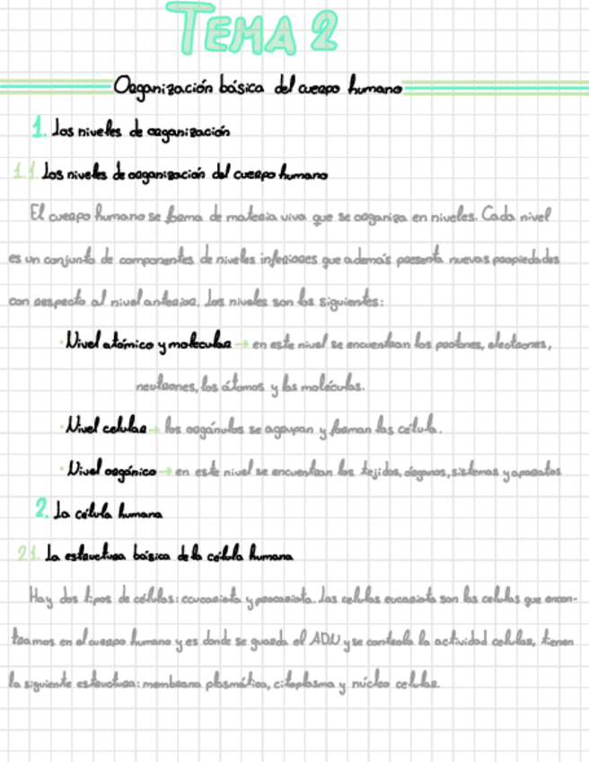 Miniatura del documento Organizacion-Basica-del-Cuerpo-Humano.pdf