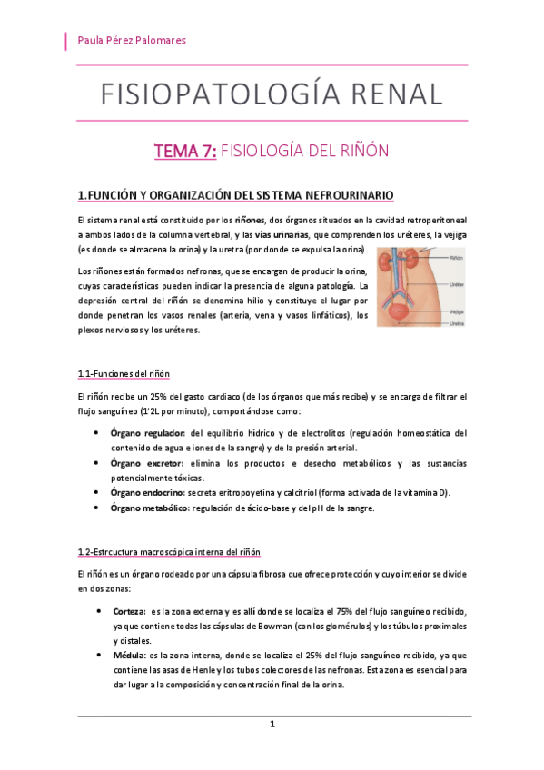 Miniatura del documento TEMA-7-FISIOLOGIA-DEL-RINON.pdf