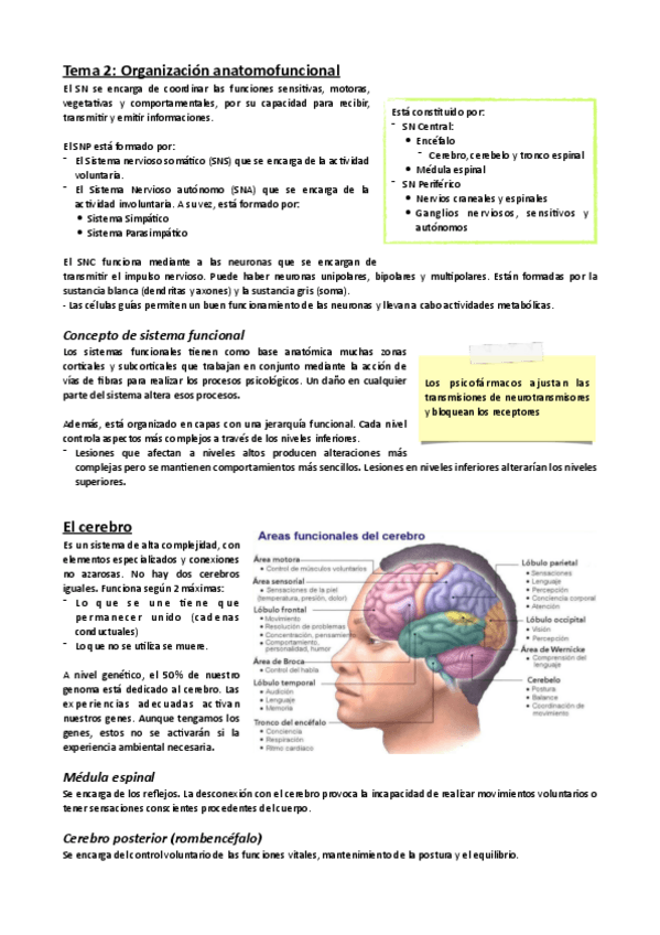 Miniatura del documento Tema-2.pdf