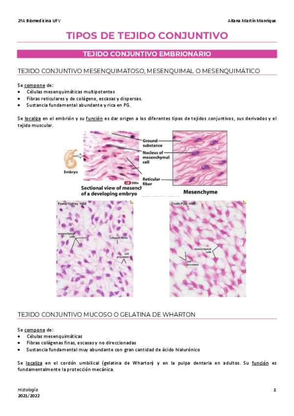 Miniatura del documento 5 Resumen tipos de tejido conjuntivo