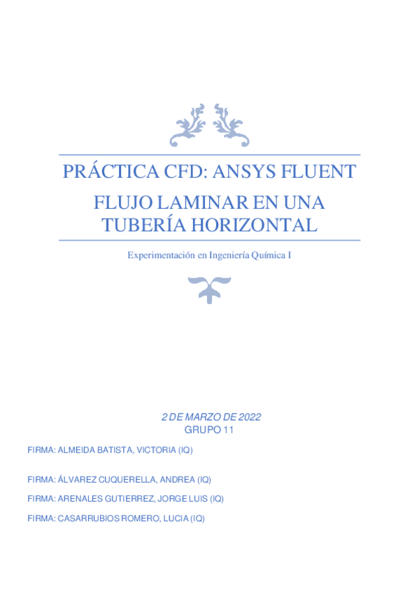 Miniatura del documento CFD.pdf