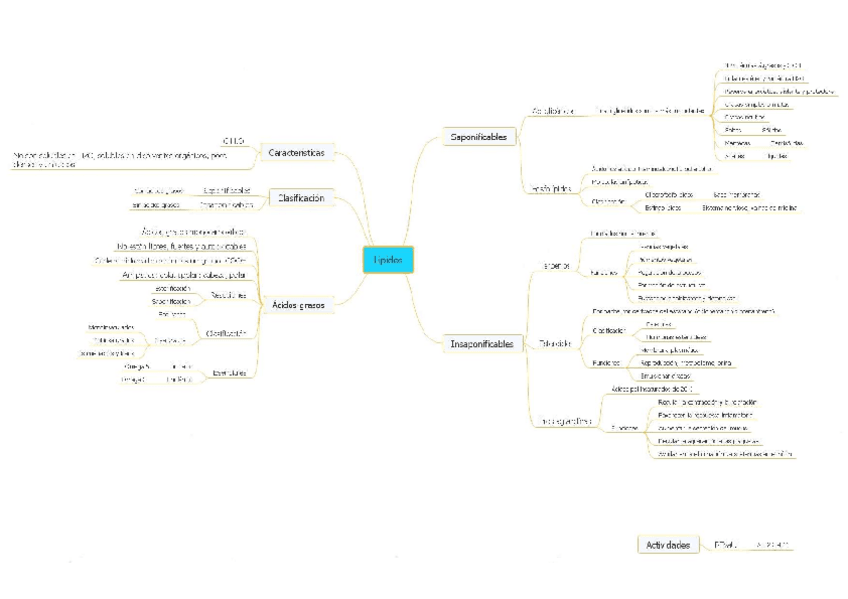 Miniatura del documento Mapa-conceptual-Lipidos.pdf