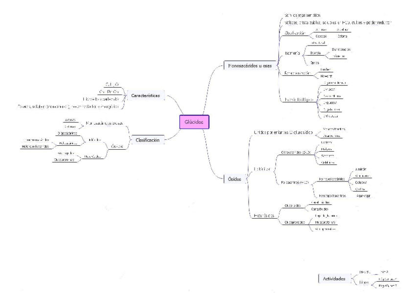 Miniatura del documento Mapa-conceptual-Glucidos.pdf