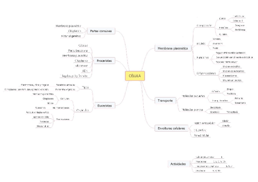 Miniatura del documento mapa-celula.pdf