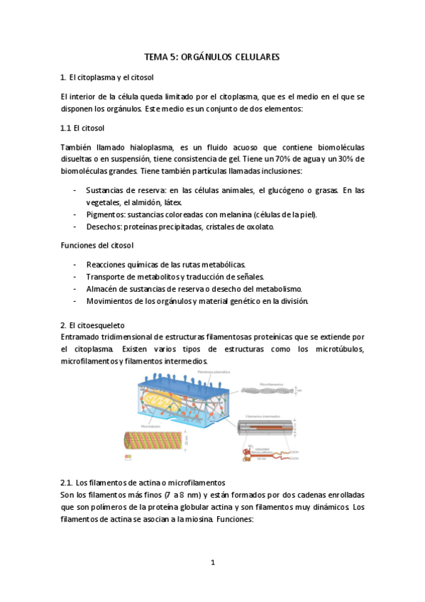 Miniatura del documento Organulos-celulares.pdf