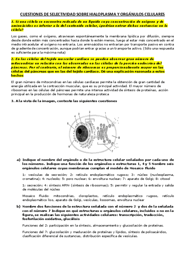 Miniatura del documento Cuestiones-EvAU-Hialoplasma.pdf