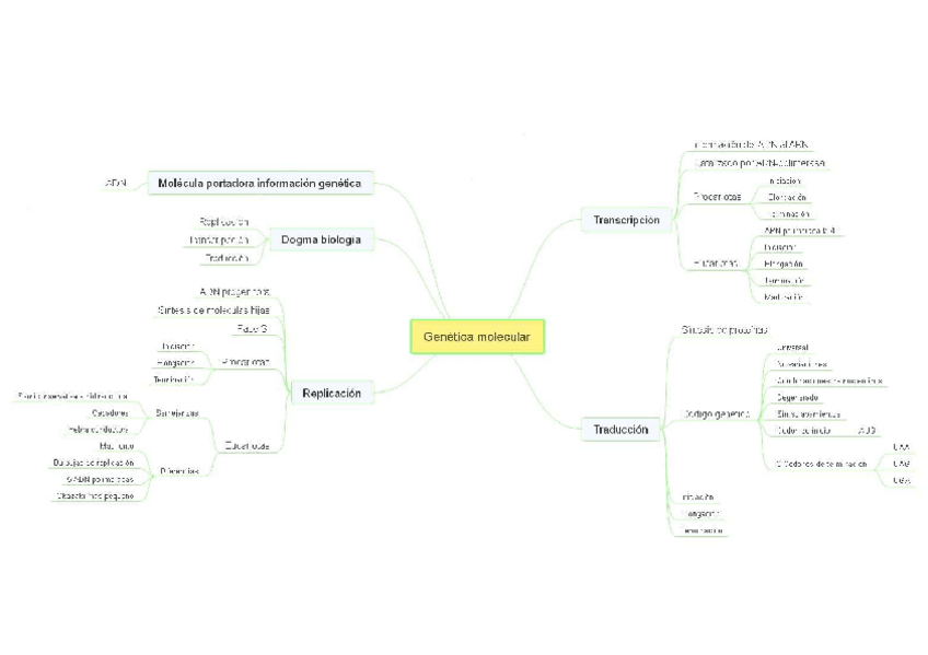 Miniatura del documento Mapa-conceptual-Genetica-Molecular.pdf