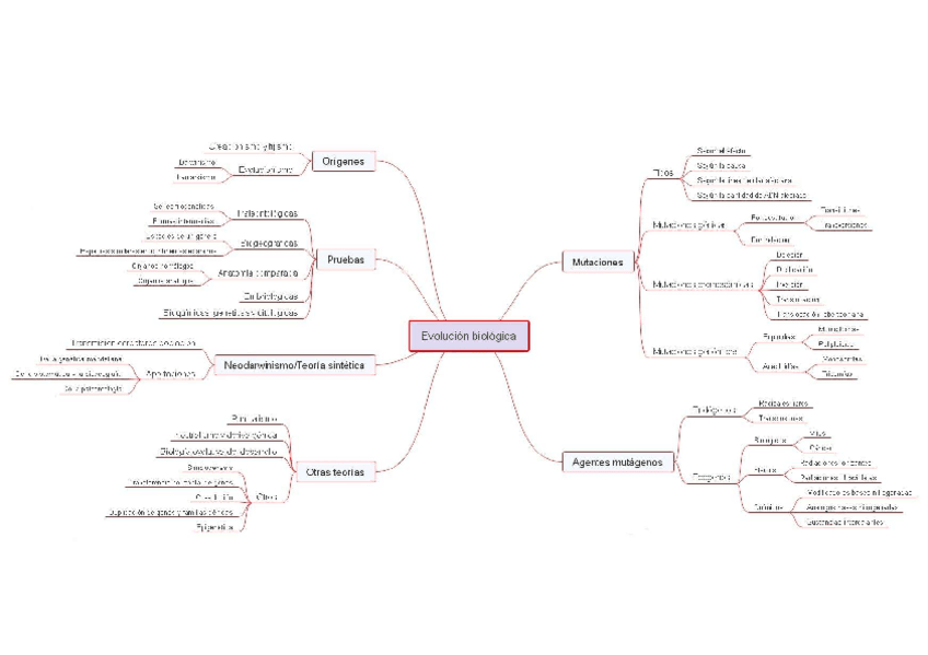 Miniatura del documento mapa-Evolucion-biologica.pdf