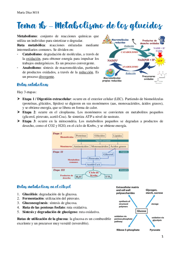 Miniatura del documento t1b.pdf