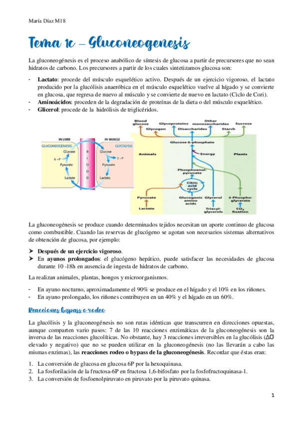 Miniatura del documento t1c.pdf