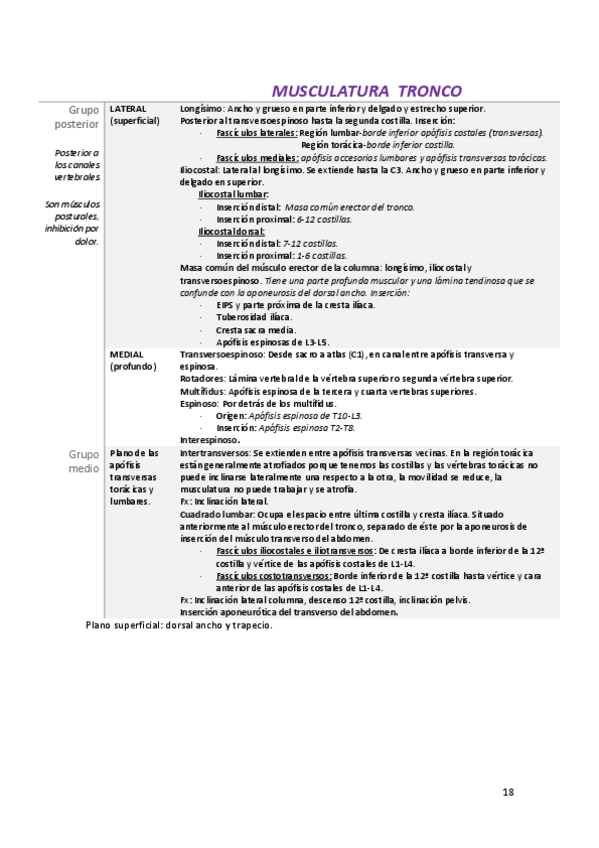 Miniatura del documento musculos.pdf