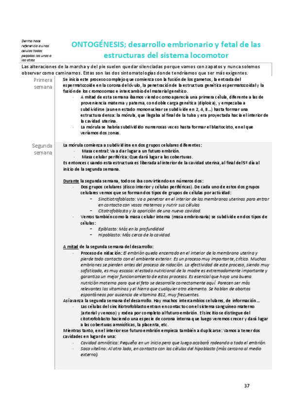 Miniatura del documento desarrollo-embrionario-y-sist-locomotor.pdf