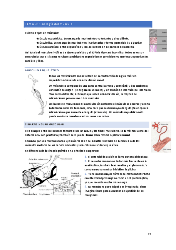 Miniatura del documento TEMA-3-FISIOLOGIA.pdf