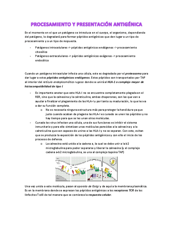 Miniatura del documento Tema-7-y-8.pdf