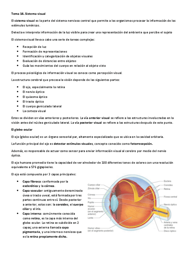 Miniatura del documento Tema-14.pdf