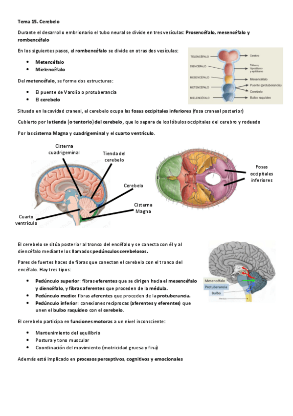 Miniatura del documento Tema-15.pdf