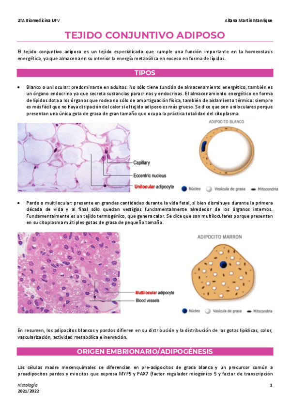 Miniatura del documento 6-Tejido-adiposo.pdf