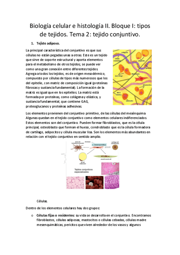 Miniatura del documento Biologia-celular-e-histologia-II.pdf